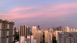 Queens Peak (D3), Condominium #526785941